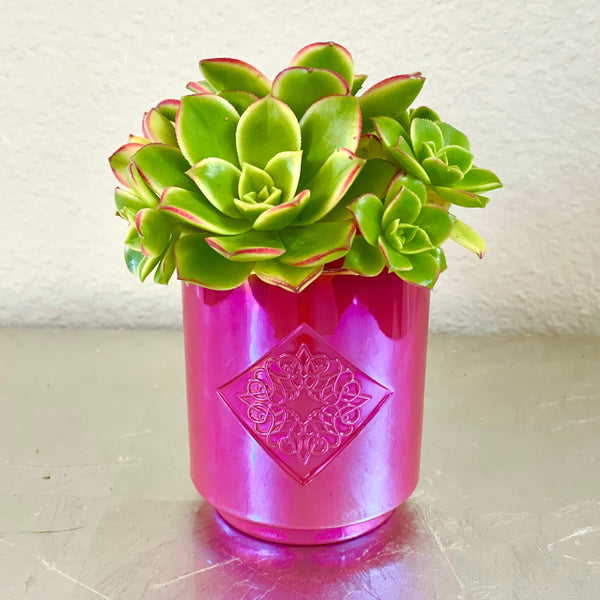 Load image into Gallery viewer, AFTERGLOW red iridescent OPAL ROAD scented candle with repurposed container.