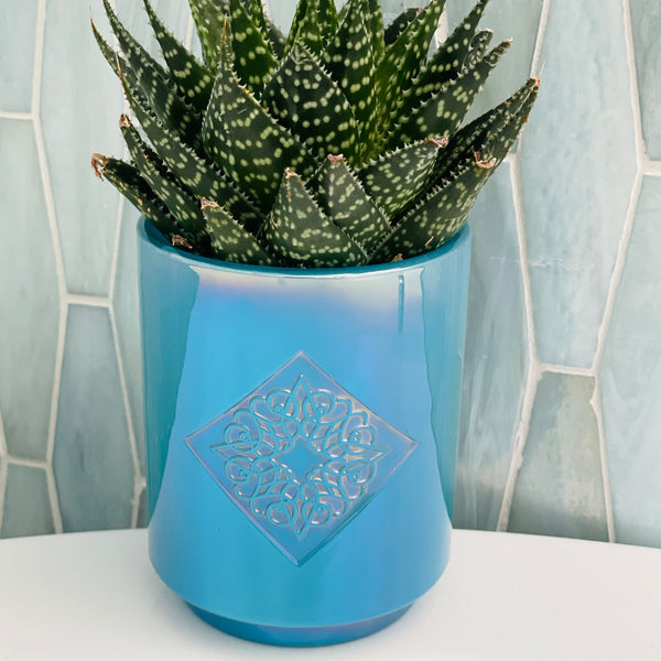 Load image into Gallery viewer, SERENITY