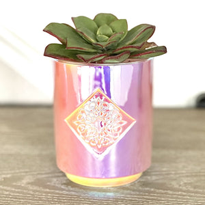 Iridescent white holographic glass with custom intricate logo inside a diamond depression. The base is smaller than the top of the candle. This candle smells like coconut and woody santal. The repurposed container shows the container being used as a succulent holder. 